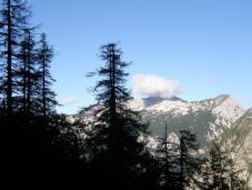 Klik za večjo sliko